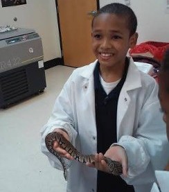 Boy Holding A Snake